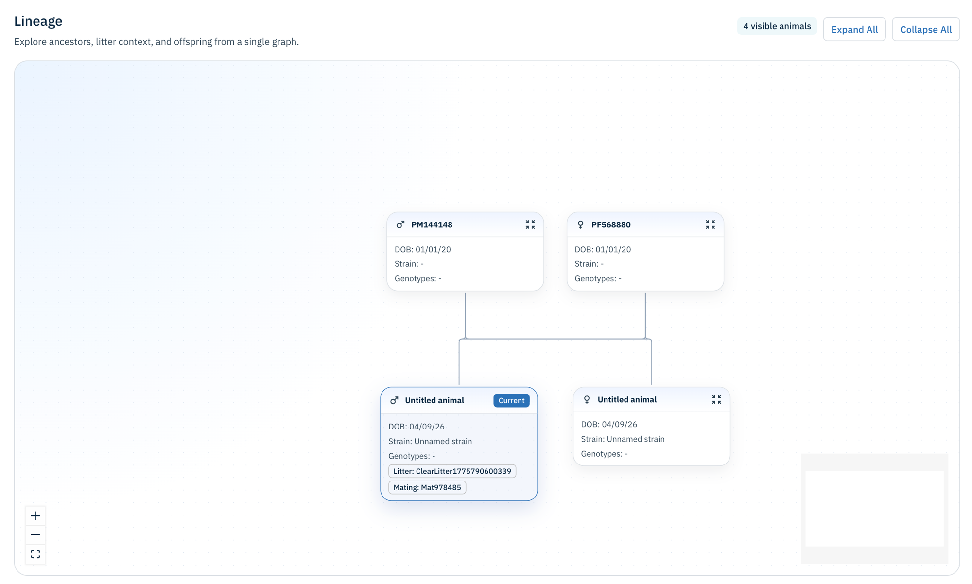 Moustra lineage view showing ancestors, litter context, and offspring in a single interactive family tree graph