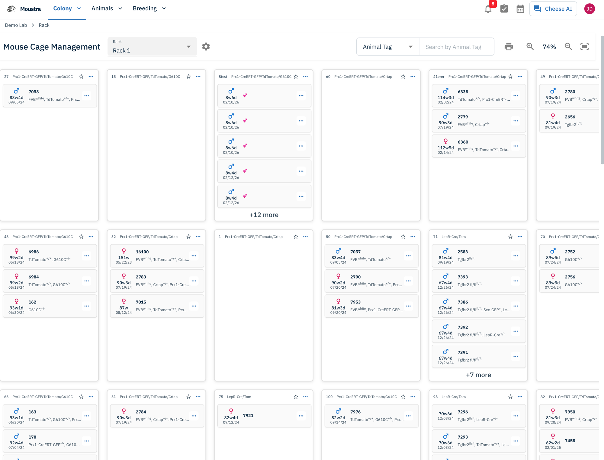 Moustra mouse cage management grid showing rack layout with color-coded strains and animal counts