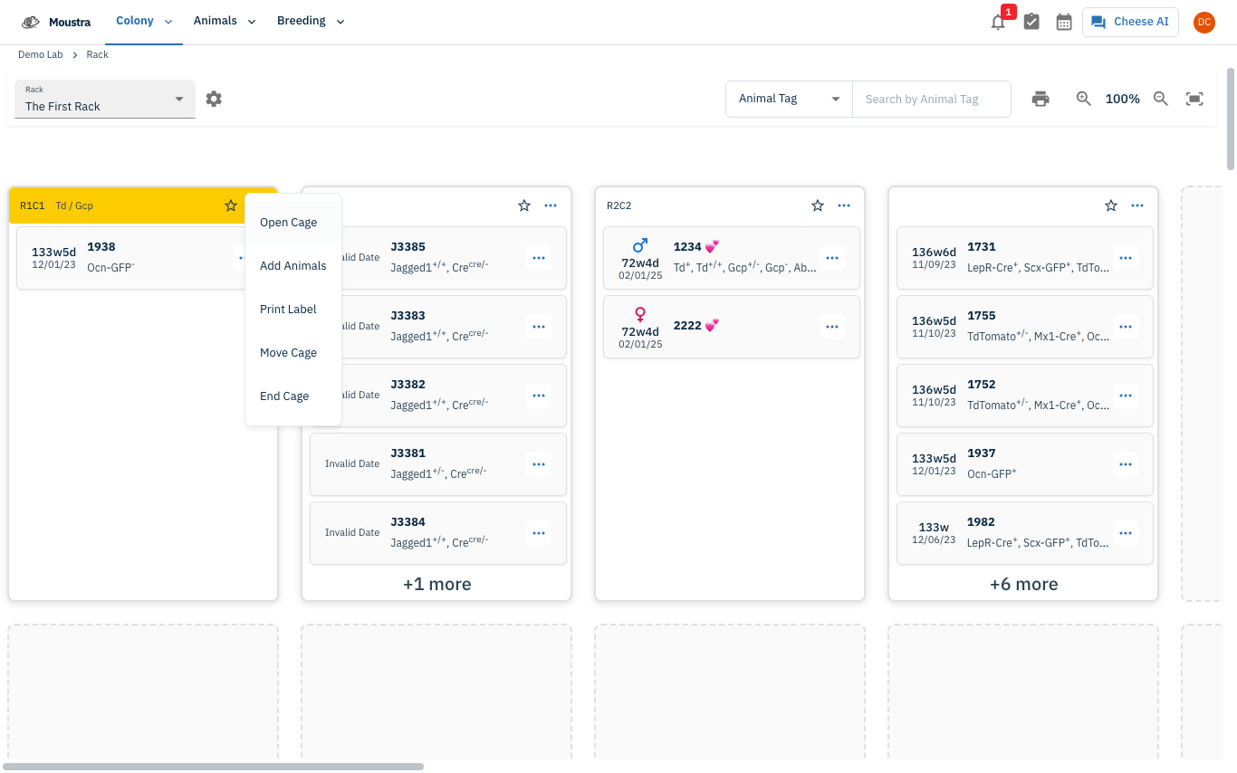 Screenshot for Open the cage menu on the Rack