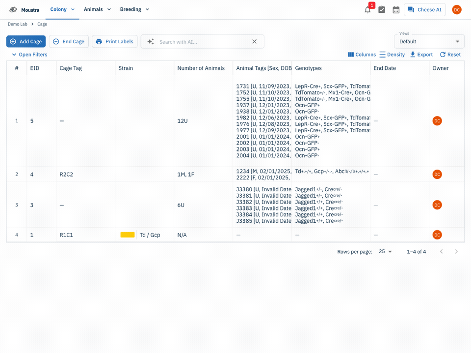 How to Export Colony Data to Excel — full walkthrough