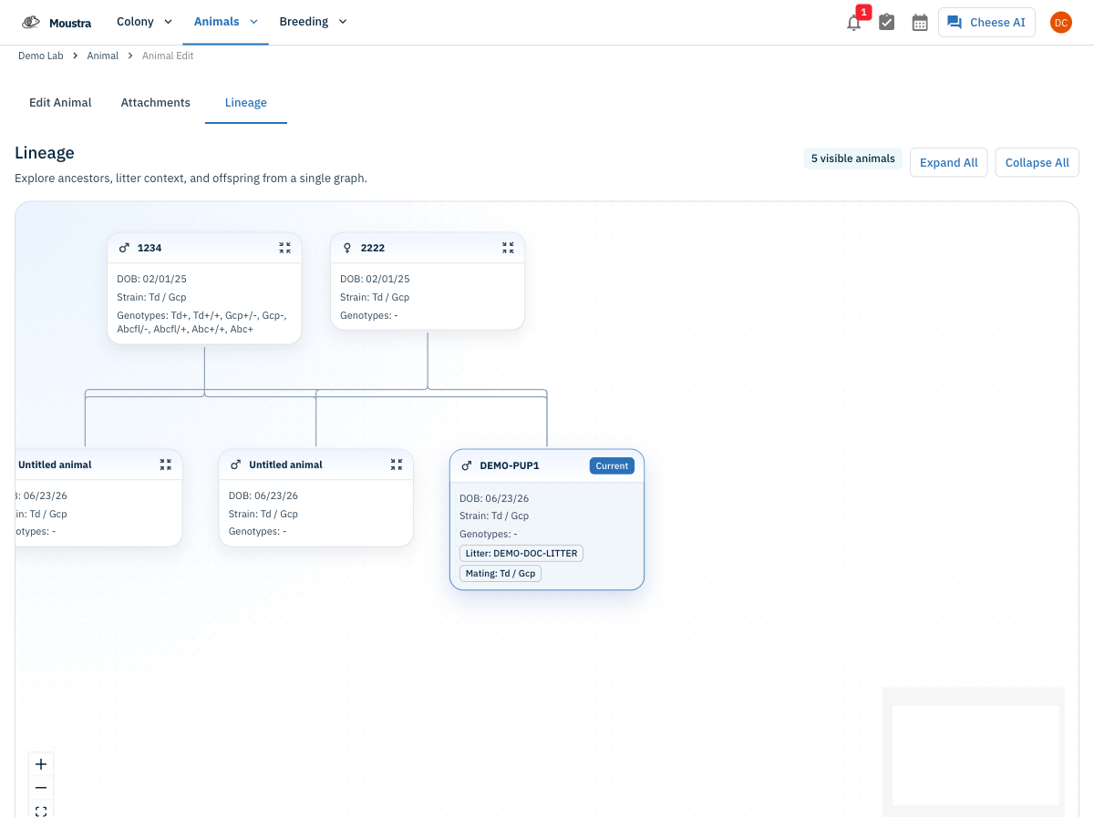 Screenshot for Open the Lineage tab