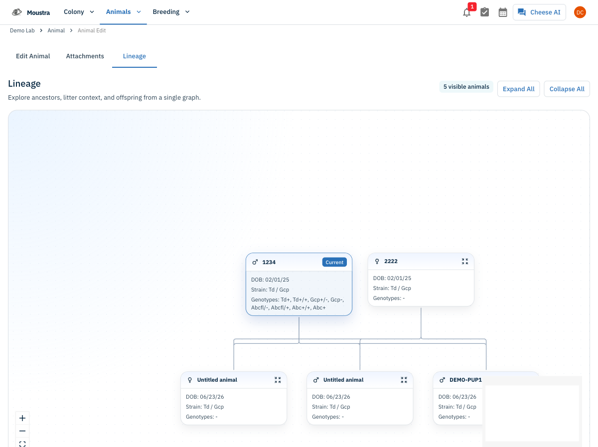 Screenshot for Explore and navigate