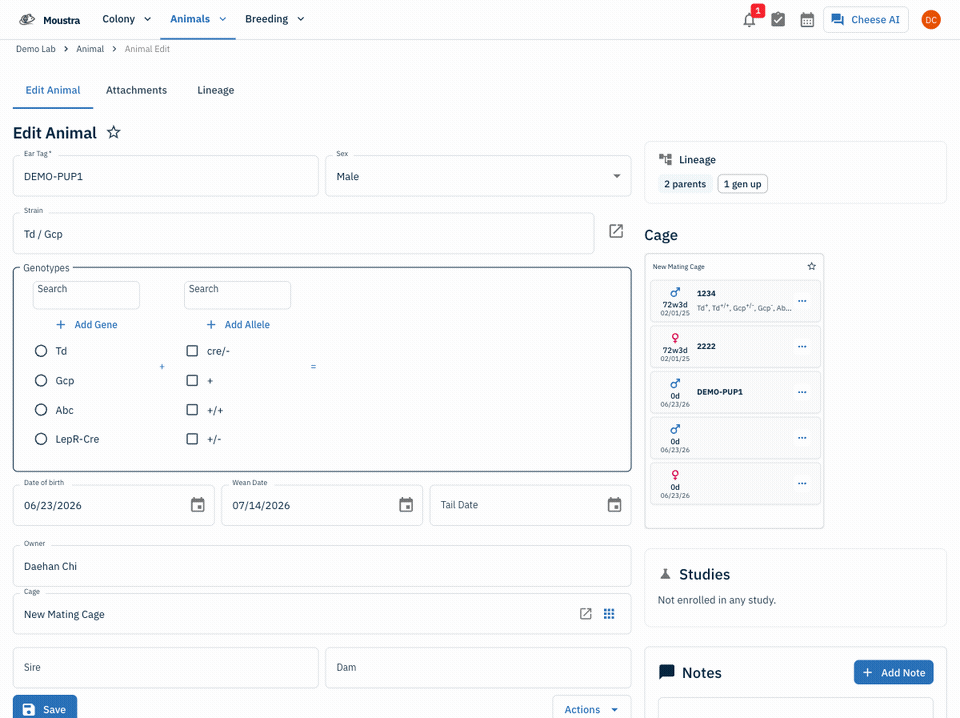 How to View the Family Tree — full walkthrough
