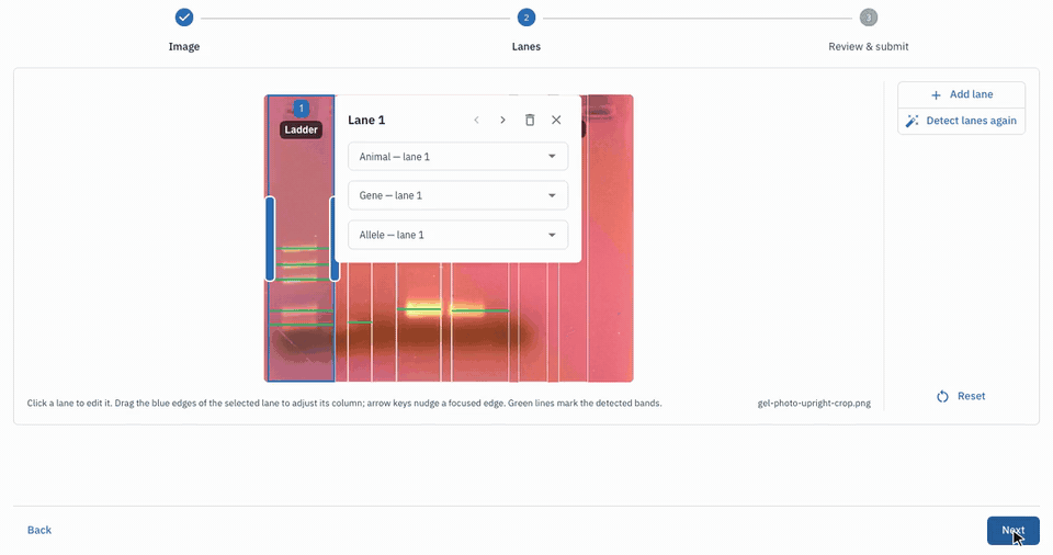 Screenshot for Assign each lane