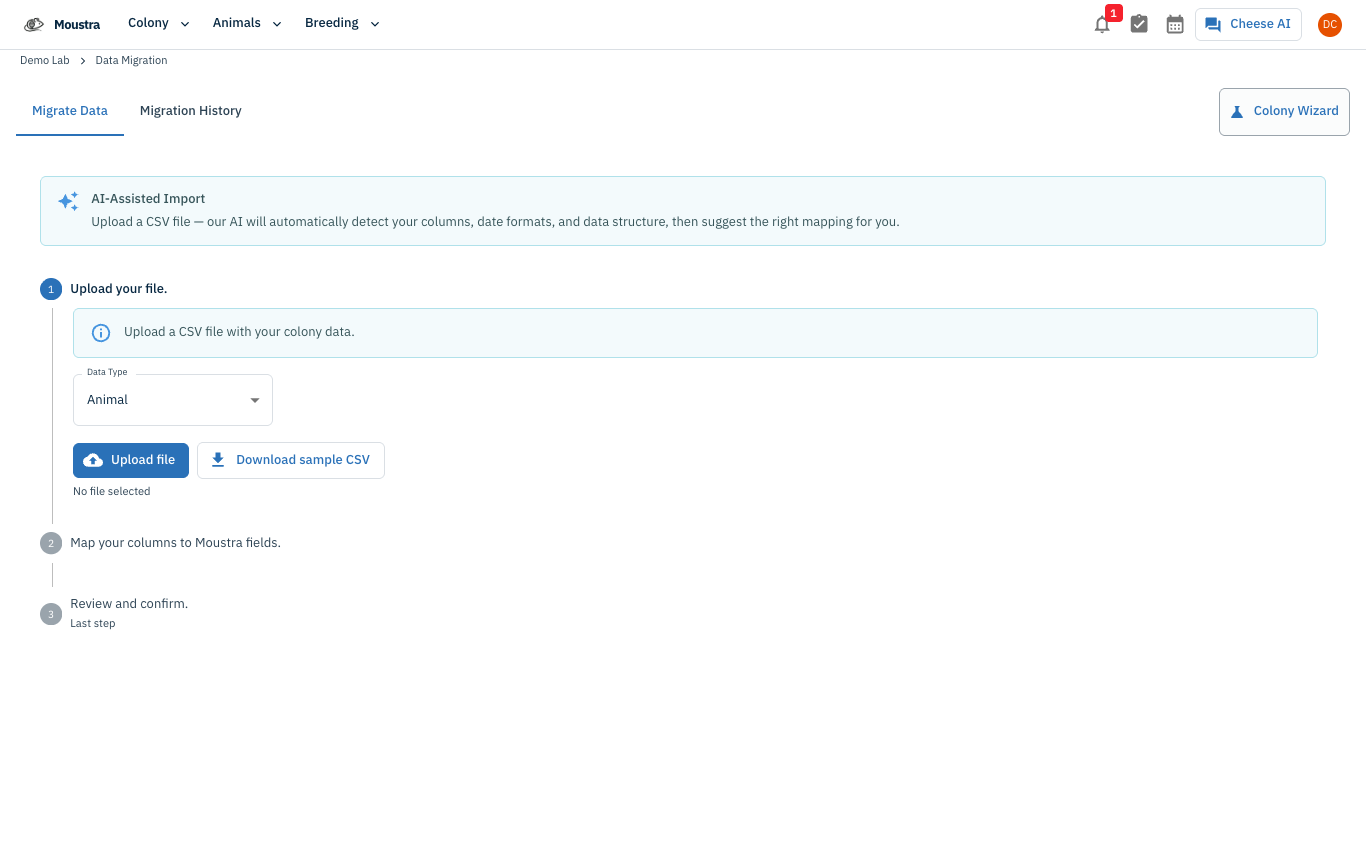 Screenshot for Upload a CSV