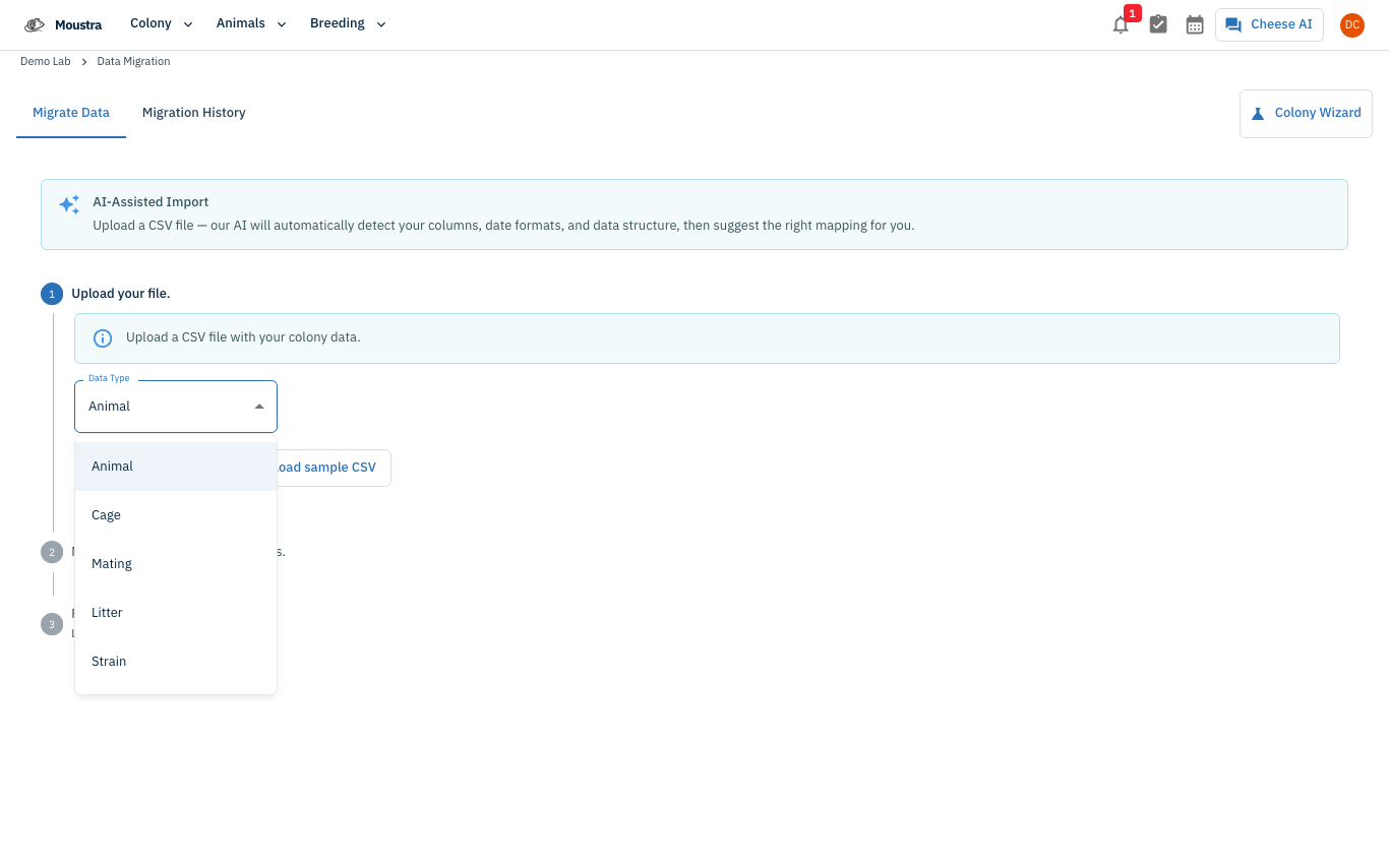 Screenshot for Pick the data type, then map and confirm