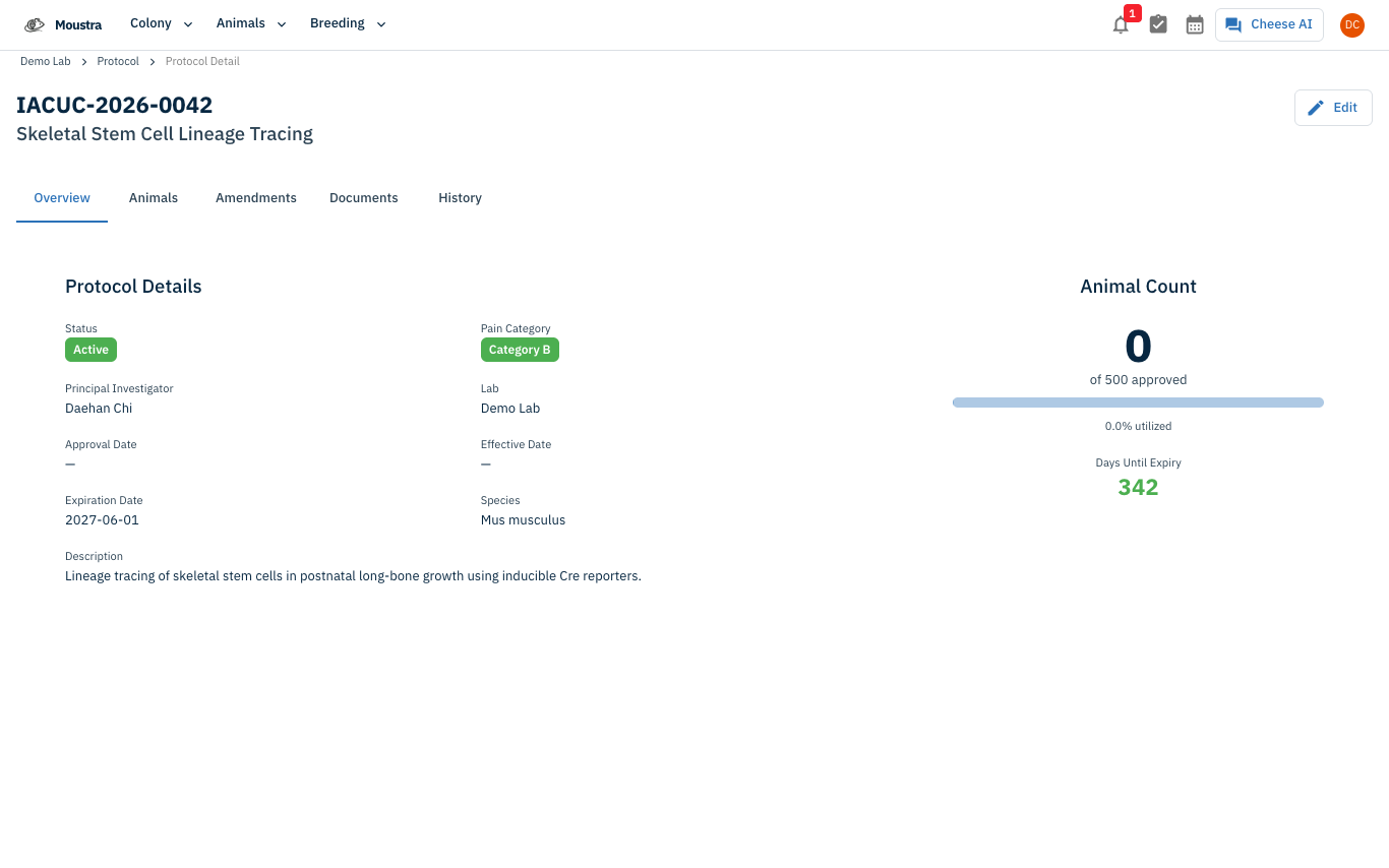 Screenshot for Open the protocol