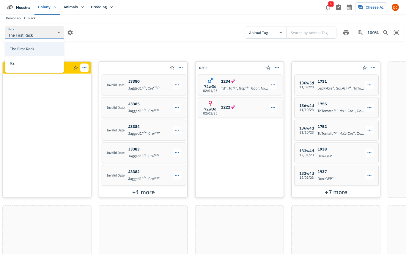 Screenshot for Switch between racks