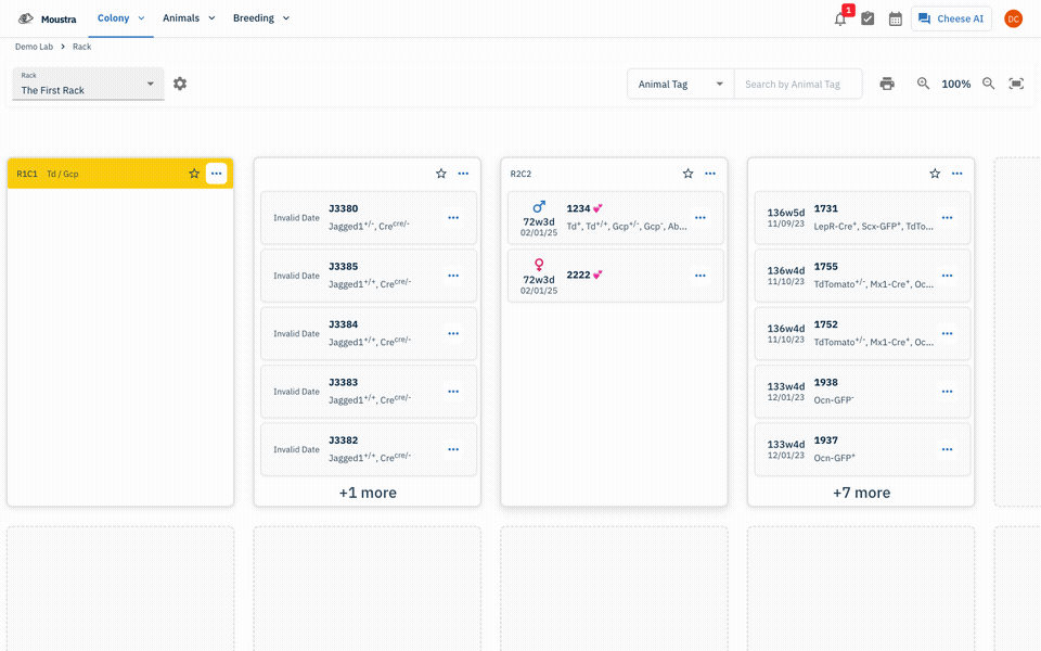 How to Use the Rack View — full walkthrough
