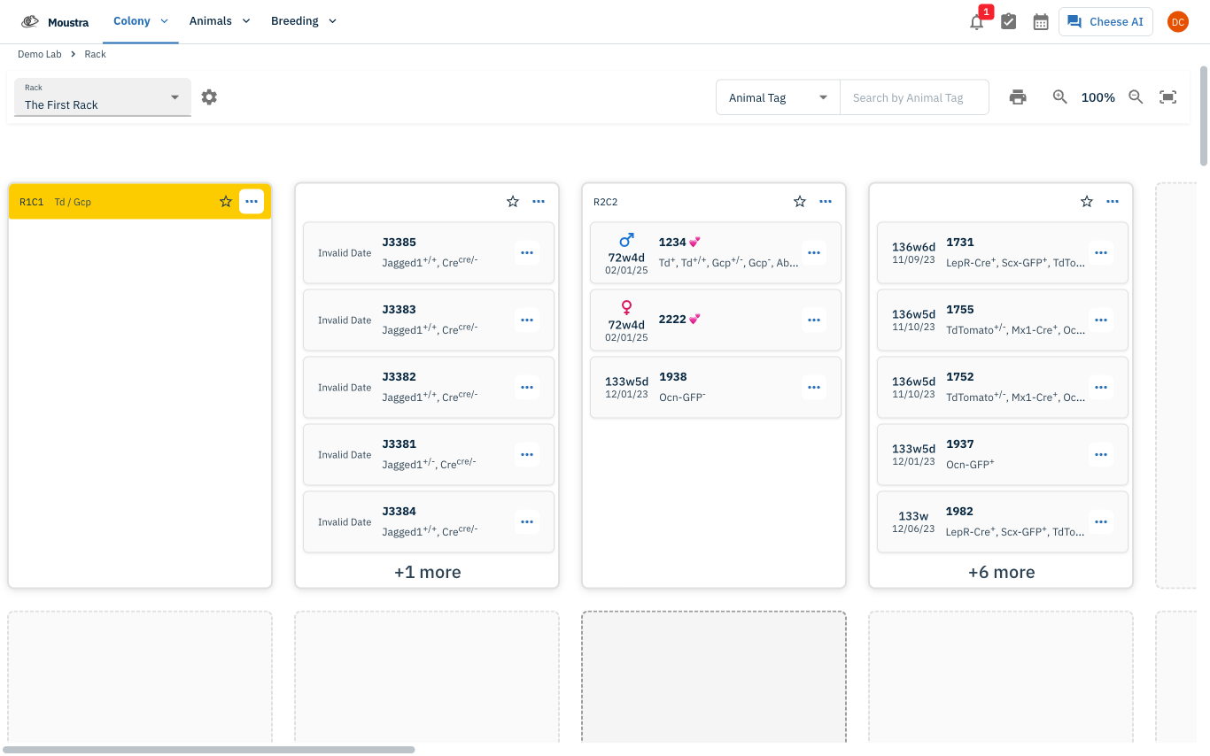 Screenshot for Open the Rack view