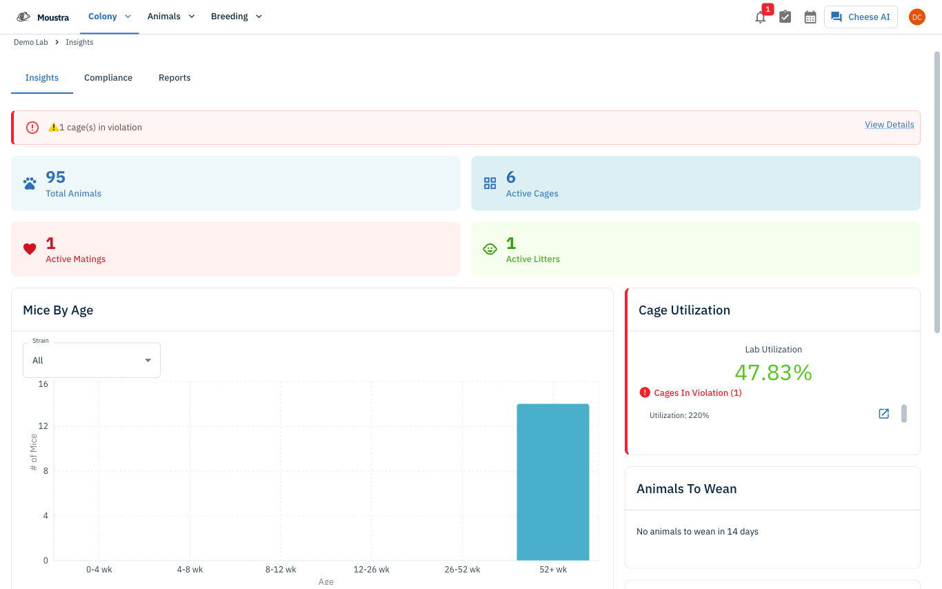 Screenshot for Open Insights