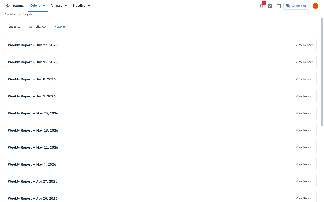 Screenshot for Open the Reports tab