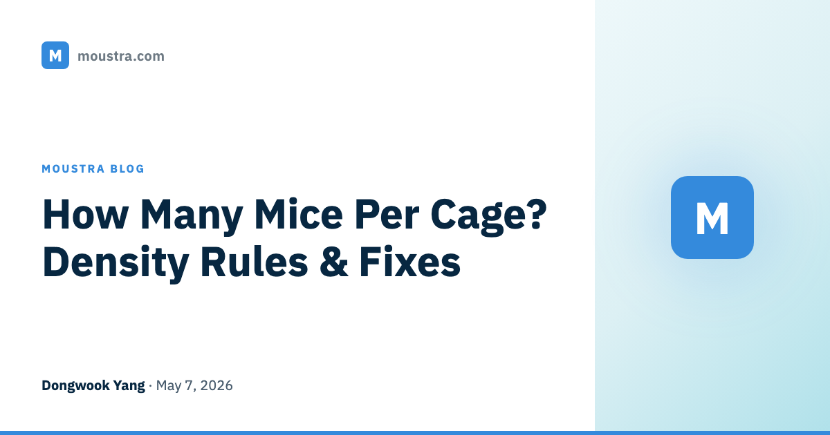How Many Mice Per Cage? Density Rules & Fixes