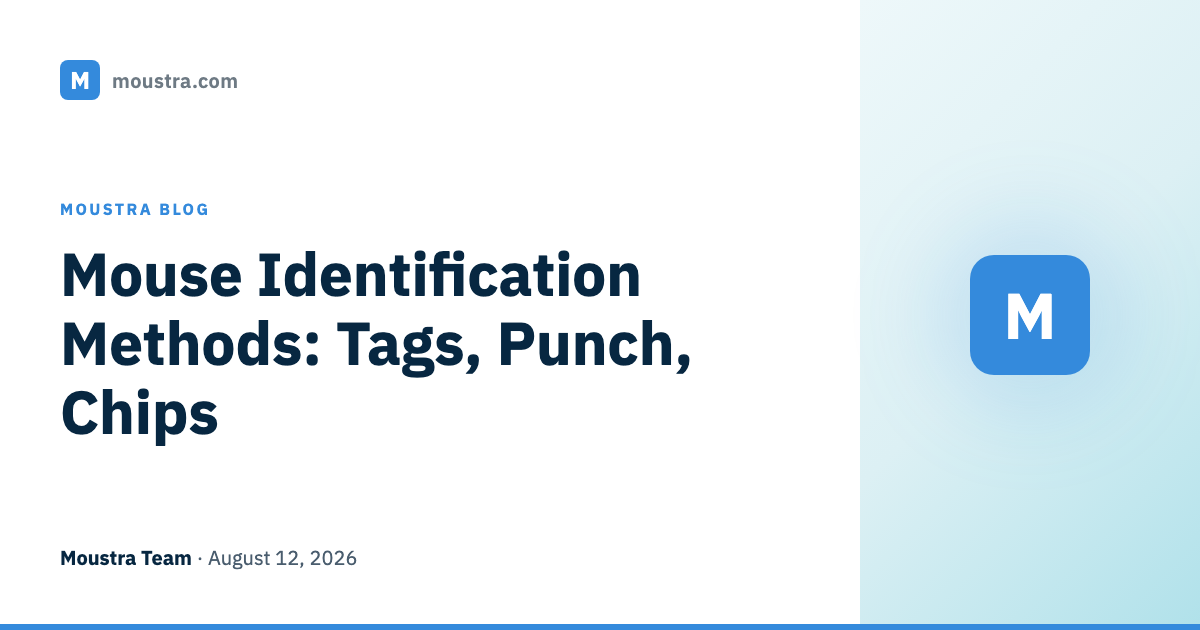 Mouse Identification Methods: Tags, Punch, Chips