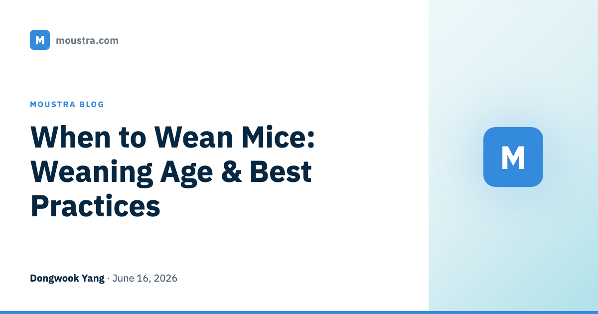 When to Wean Mice: Weaning Age & Best Practices